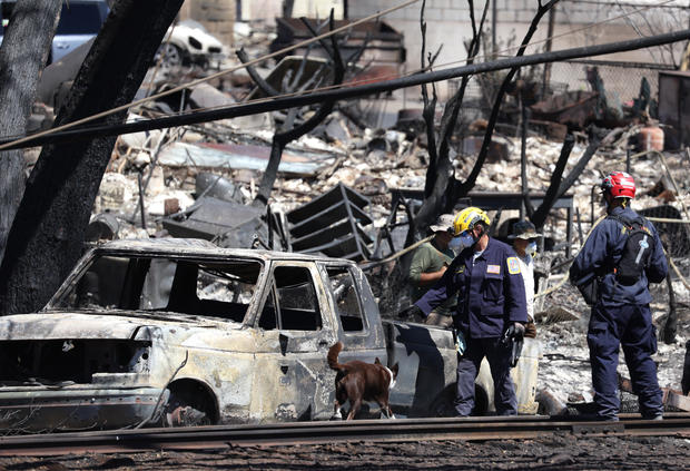 Houses and cars burned by Maui wildfire in Lahaina 